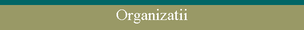 Organizatii
